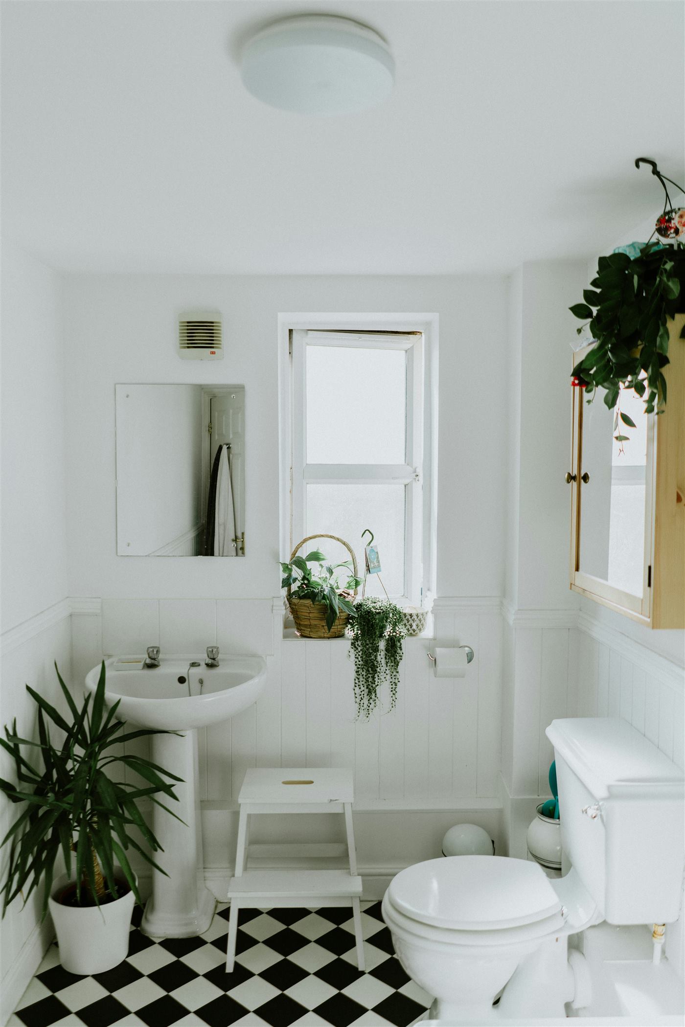 Small white bathroom with a pedestal sink, a wall cabinet, plants and a checkered floor